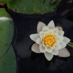 View More: http://deathtothestockphoto.pass.us/brick-and-mortar