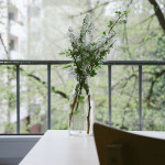 blooming-blossom-branch-2081